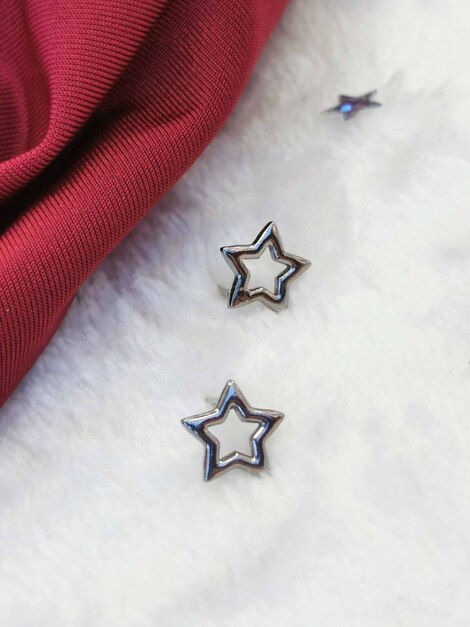 Estrellas silver stainless steel earrings